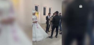 Damadın arkadaşından 100 bin TL’lik Anadolu çoban köpeği düğün hediyesi