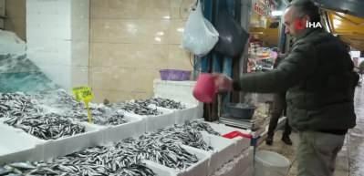 Hamsinin fiyatı 200 TL'ye çıktı