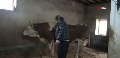 Hem besici hem muhtar! 8 erkek adayı geride bıraktı