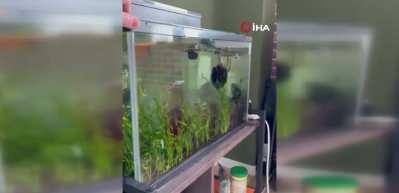 Japonya’da 6.7 büyüklüğünde deprem meydana geldi, tsunami uyarısı yapıldı