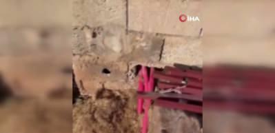 Kaçak elektrik denetiminde gizli kripto üretim tesisi ortaya çıktı