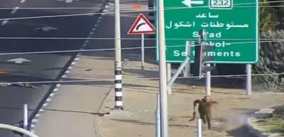 Mossad'ın yeni patronu Lofman İsrail’de Kassam mücahidlerinden böyle kaçtı! 7 Ekim’den yeni görüntü