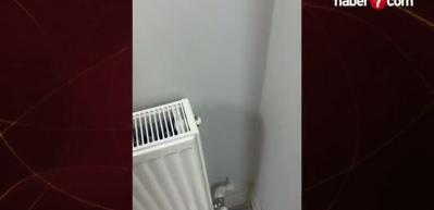 Petek tamirine giden usta hayatının şokunu yaşadı: Tesisat duvara saplanmış borulardan ibaret çıktı