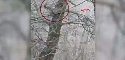 Sivas'ta g&ouml;r&uuml;nt&uuml;lendi: Avlamanın cezası 840 bin TL