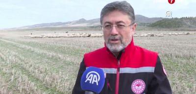 Tiftik için yeni dönem: Özel destek geliyor