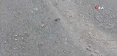 Tunceli'de kaçak avcılığa büyük ceza!