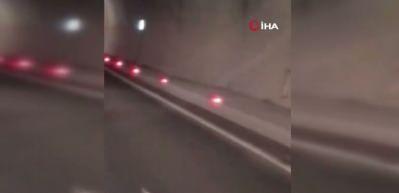Tünele giren 3 ayı az kalsın kazaya neden oluyordu