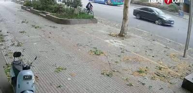 &Ccedil;in'de talihsiz kaza: Bisikletli yaşlı adamın &uuml;zerine ağa&ccedil; dalı d&uuml;şt&uuml;