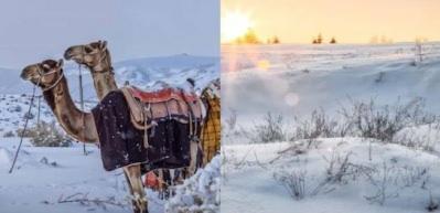 Beyaz rahmet Arabistan'a yağdı! İşte b&ouml;lge halkını şaşırtan kar yağışı