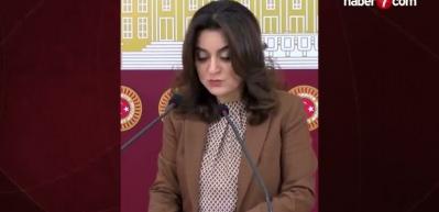 DEM Partili Ko&ccedil;yiğit: "Silahların susması bir sonu&ccedil; değil, başlangı&ccedil;tır"