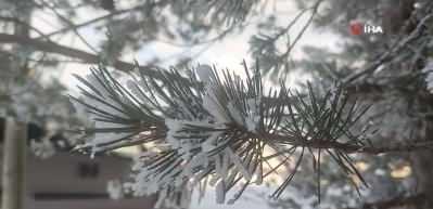 G&ouml;le, eksi 16 dereceyi g&ouml;rd&uuml;, ağa&ccedil;lar kırağı tuttu