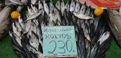 Havalar soğudu Elazığ'da balığa ilgi arttı!