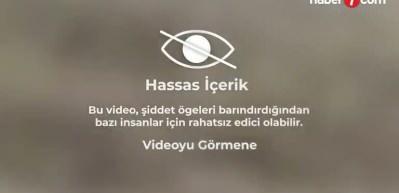 Hindistan'da fil s&uuml;r&uuml;s&uuml; kabusu!