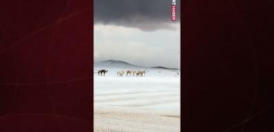 Suudi Arabistan&rsquo;ın y&uuml;ksek kesimlerine kar yağışı