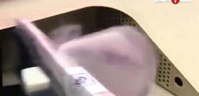 Merkez Bankası enflasyonun ana eğiliminde d&uuml;ş&uuml;ş aralıkta s&uuml;recek dedi