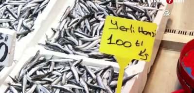 Trabzon'da hamsi ve istavrit 100 liradan satılıyor