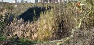 Adana'da bir kadın yol kenarında &ouml;l&uuml; bulundu