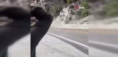 Call of Duty&rsquo;nin geliştiricisi Vince Zampella trafik kazasında hayatını kaybetti