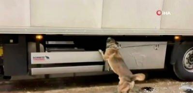  Edirne Kapıkule G&uuml;mr&uuml;k sahasında d&uuml;zenlenen operasyonda 31 kilogram kokain ele ge&ccedil;irildi