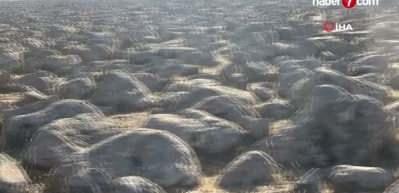 Ekonomiye 350 milyon lira akacak! Taş gibi g&ouml;r&uuml;nen yerden servet &ccedil;ıktı