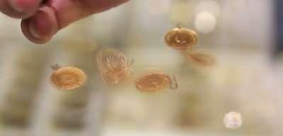 İslam Memiş: 2026 i&ccedil;in ons ve gram tarafında y&uuml;kseliş tahminimiz devam ediyor