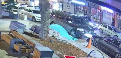 Kahramanmaraş'ta l&uuml;ks ara&ccedil;la gelip parktaki ağacı &ccedil;aldılar