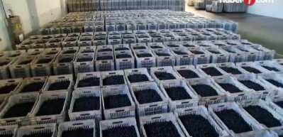 Marmarabirlik duyurdu: 1 milyar 200 milyon liralık destek!