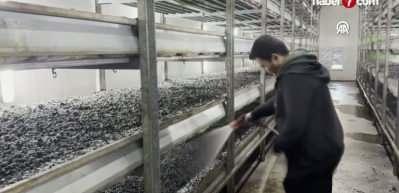 Memurluğu bıraktı k&ouml;y&uuml;ne d&ouml;nd&uuml;: Devlet desteğiyle hayatı değişti