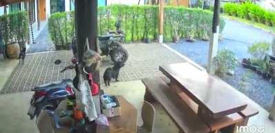 Tayland ile Kambo&ccedil;ya, sınır &ccedil;atışmalarına devam ediyor