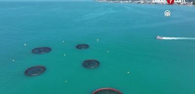 T&uuml;rk somonu sınır tanımıyor!