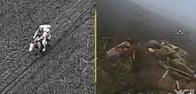Atlı piyadelerin drone ile imtihanı... Ukrayna-Rusya savaşında o anlar