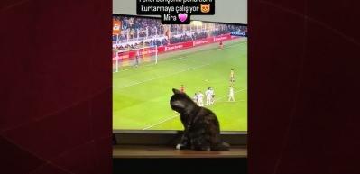  Gol&uuml; yemek istemeyen kedi ekranı tırmaladı! Derbinin en renkli anı...