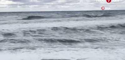 Zonguldak'ta 90 yıllık ağa&ccedil; devrildi, dalgalar mendireği aştı