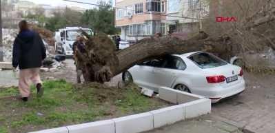 İstanbul&rsquo;da şiddetli r&uuml;zgar ağa&ccedil; devirdi: 4 ara&ccedil; zarar g&ouml;rd&uuml;
