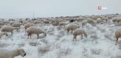 Sivas'a lapa lapa kar yağdı: Değmeyin &ccedil;obanın keyfine