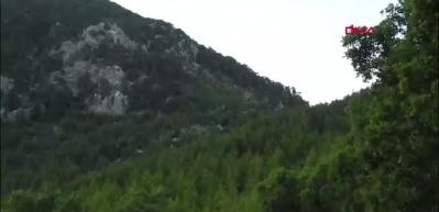 Anadolu parsına zarar vermenin cezası 45 milyon TL