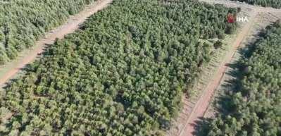 Deniz'i boğarak &ouml;ld&uuml;ren katil birer g&uuml;n arayla cesedi yaktığını itiraf etti