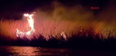 Hatay'da korkutan yangın: Milleyha Kuş Cenneti alevlere teslim 