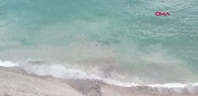  İSKİ'nin arıtma tesisinden bırakılan suyla denizin rengi değişti