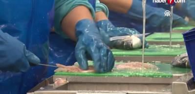 Su &uuml;r&uuml;nlerinde Cumhuriyet tarihinin rekoru!