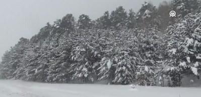 Tunceli'de eğiteme kar arası!