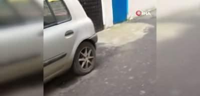 Y&uuml;zlerce farenin istila ettiği d&uuml;kkanın bulunduğu sokağı k&ouml;t&uuml; kokular sardı