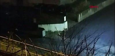 A&ccedil; kalan &ccedil;akal s&uuml;r&uuml;s&uuml; şehre indi