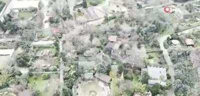 Darıca Hayvanat Bah&ccedil;esi kapandı, hayvanlar farklı illere nakledildi