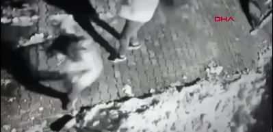 Diyarbakır'da site bah&ccedil;esindeki pompalı t&uuml;fekli cinayetin g&ouml;r&uuml;nt&uuml;leri ortaya &ccedil;ıktı