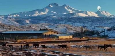 H&uuml;rmet&ccedil;i Sazlığı'ndaki yılkı atları g&uuml;n batımında dronla g&ouml;r&uuml;nt&uuml;lendi