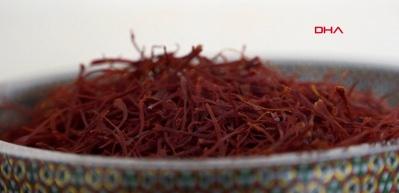 Kilosu 900 bin liraya ulaştı, mısır ko&ccedil;anı ve at kılı ile taklit ediliyor!