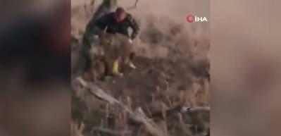 Konya'da yaban domuzunu &ccedil;ıplak elle yakaladı