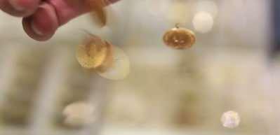 Uzmanlar gram altın i&ccedil;in ikiye b&ouml;l&uuml;nd&uuml;