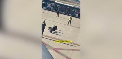T&uuml;rk Hava Yolları'nın İstanbul-Barselona u&ccedil;ağında bomba tehdidi